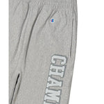 CHPM261KPSP005-GR